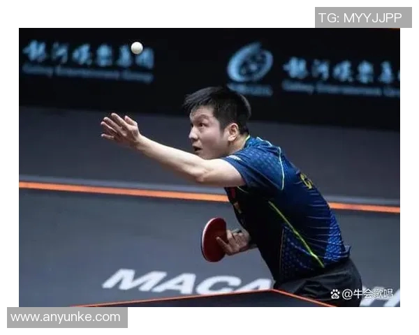 深圳网球队逆袭之路：从困境到崛起的精彩解读与展望